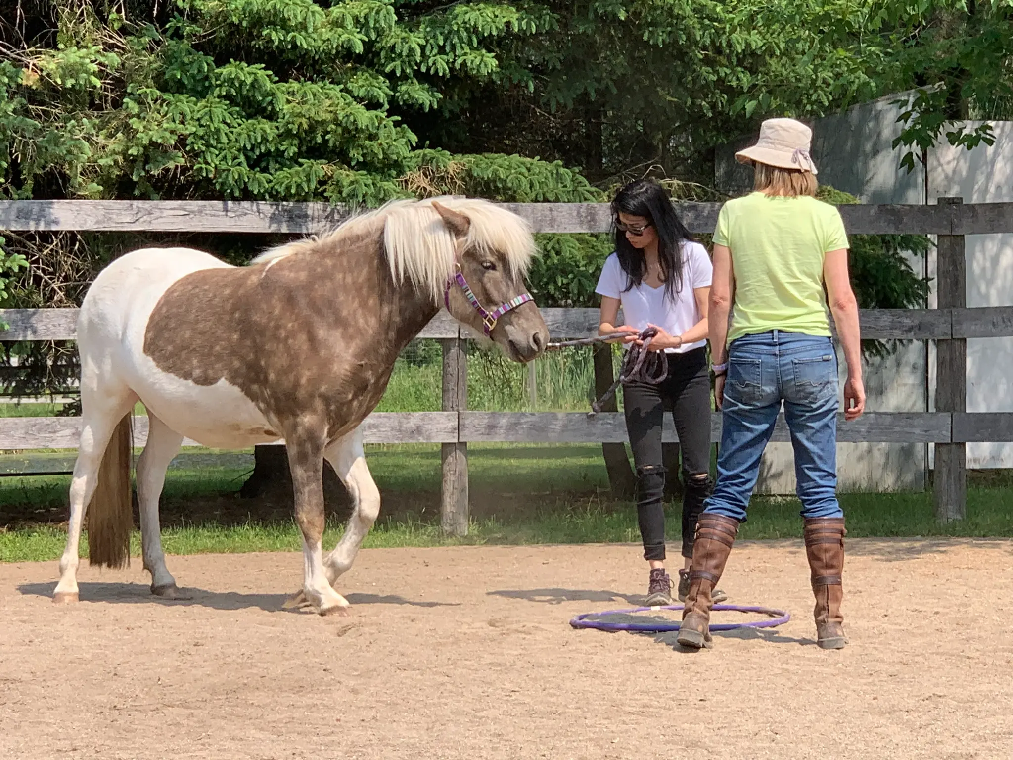 Sunday Mornings with the Horses