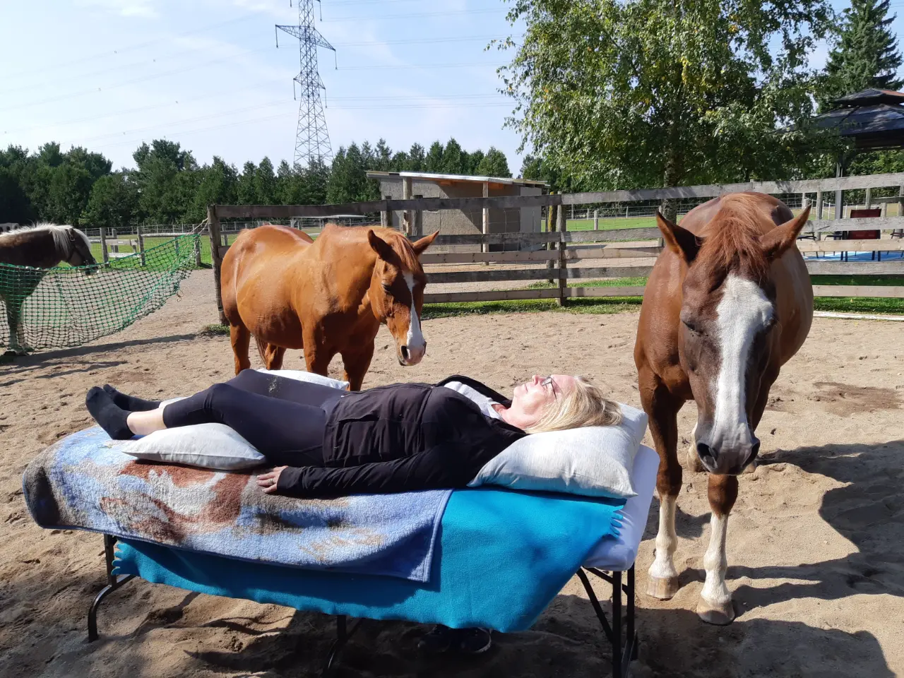 Healing with Horses - Table Top